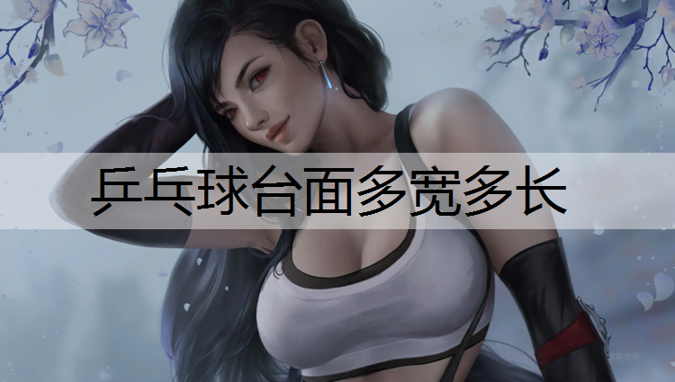 乒乓球台面多宽多长