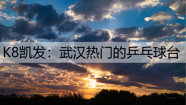 K8凯发：武汉热门的乒乓球台