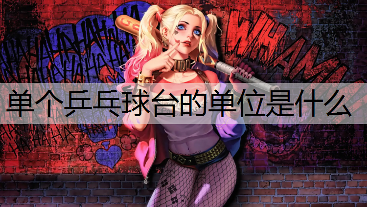 单个乒乓球台的单位是什么