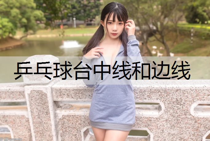 乒乓球台中线和边线