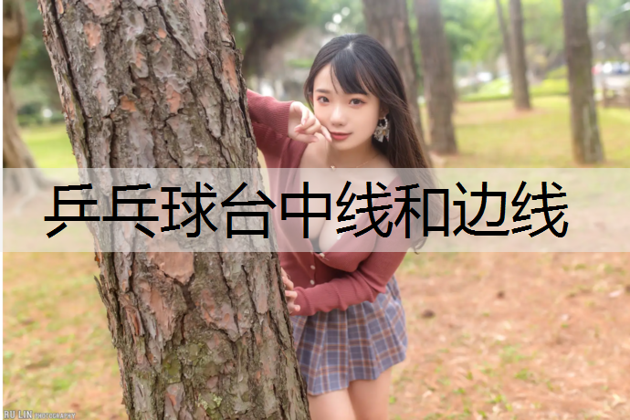 乒乓球台中线和边线