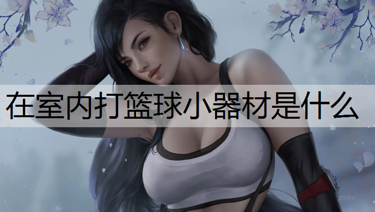 在室内打篮球小器材是什么