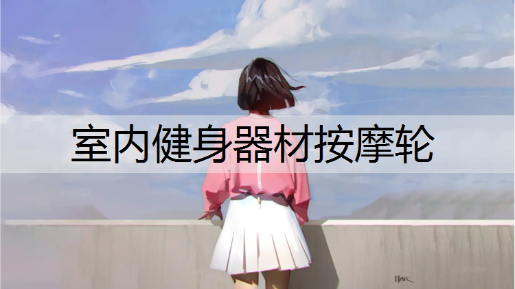 室内健身器材按摩轮