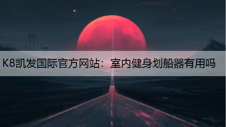室内健身划船器有用吗