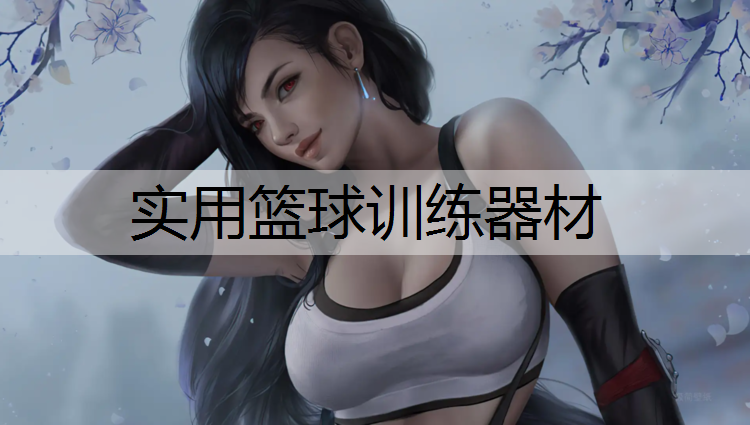 实用篮球训练器材