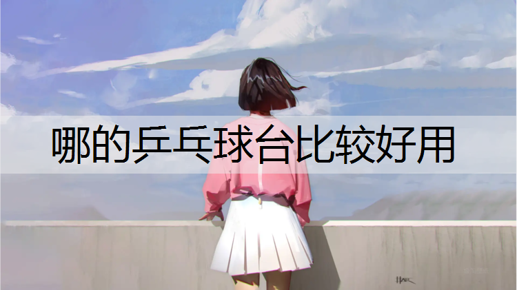 哪的乒乓球台比较好用