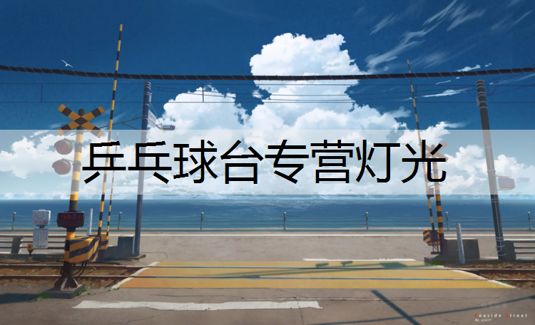 乒乓球台专营灯光