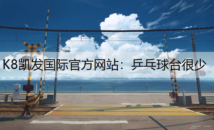 乒乓球台很少