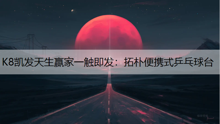 拓朴便携式乒乓球台