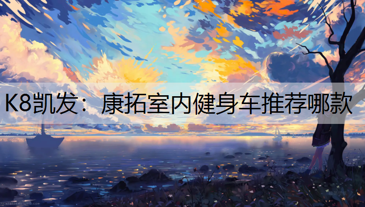 康拓室内健身车推荐哪款