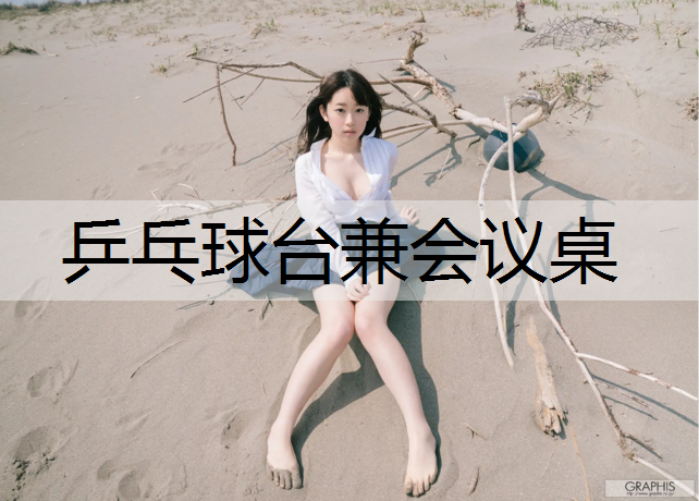 乒乓球台兼会议桌