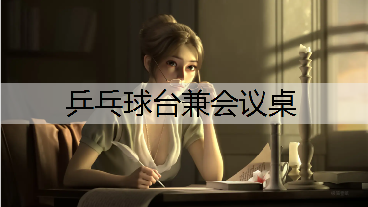 乒乓球台兼会议桌