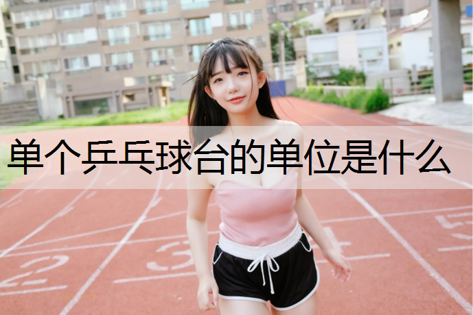 单个乒乓球台的单位是什么