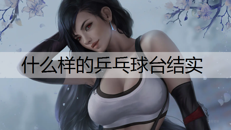 什么样的乒乓球台结实