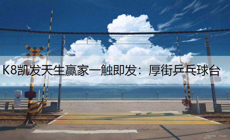 厚街乒乓球台